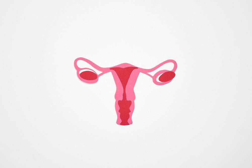 Evaluación de Endometriosis mediante Ecografía: Diagnóstico y rol del manejo clínico