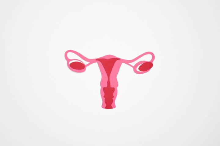 evaluacion-endometriosis-ecografia-diagnostico-rol-manejo-clinico imagen de artículo