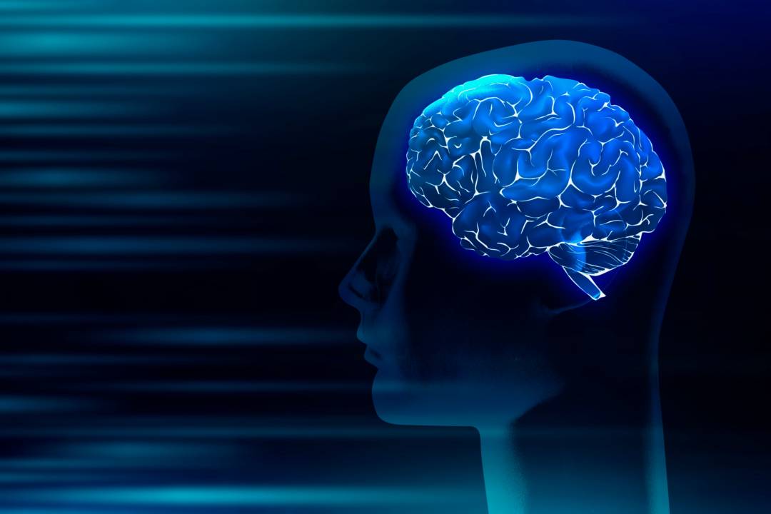 Hemorragia Cerebral: patologías y factores que aumentan la probabilidad de padecer esta enfermedad