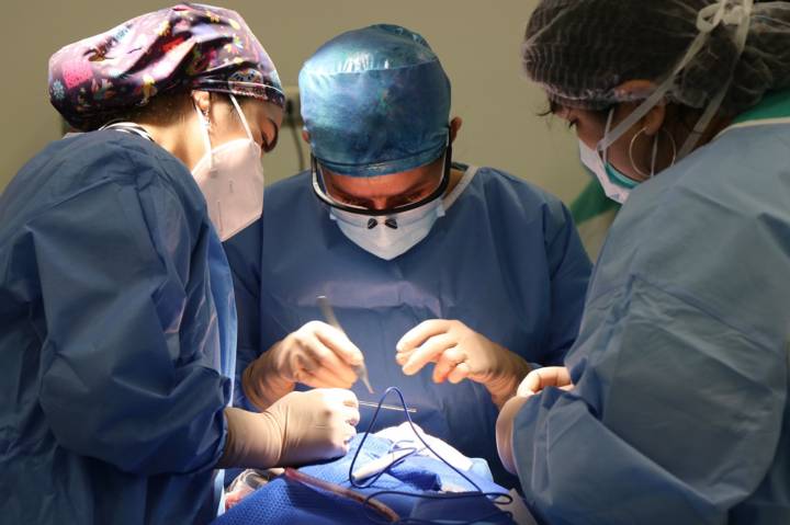 cervicalgia-tipos-causas-provocan imagen de artículo