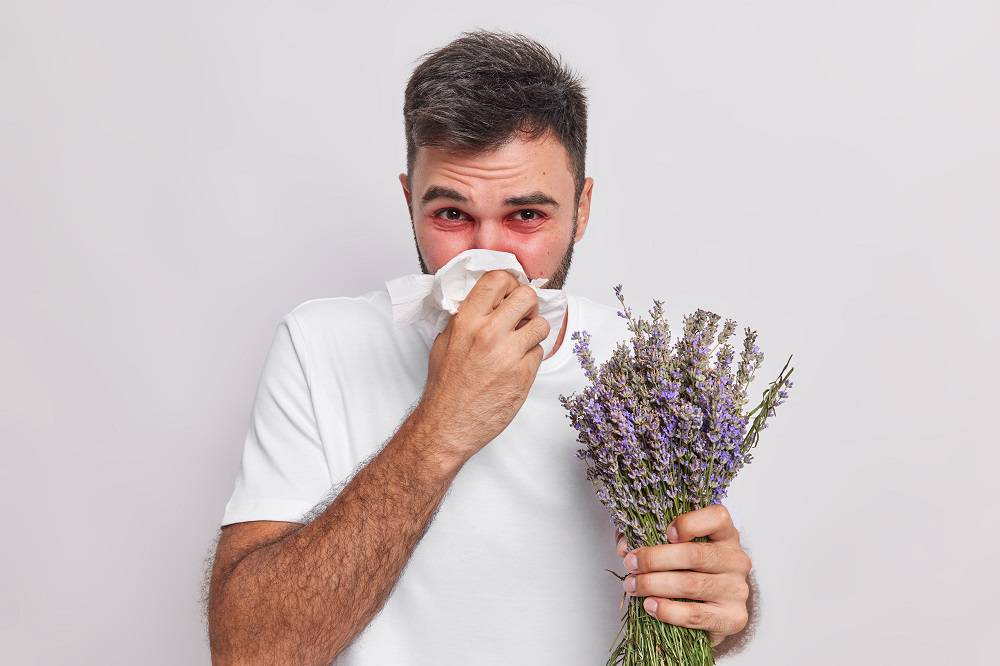 Alergias: cuáles son las Alergias Respiratorias más comunes y cómo se debe educar al paciente sobre ellas