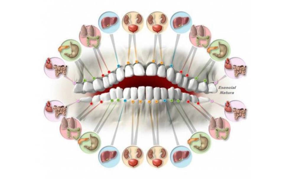 Odontología Biológica: Sonrisas Saludables, Cuerpos Saludables