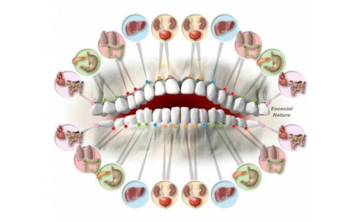 odontologia-biologica-sonrisas-saludables-cuerpos-saludables imagen de artículo