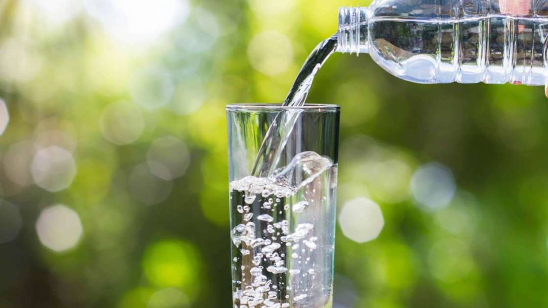 Hidratación y Salud Renal: ¿Cómo el Agua Puede Proteger tus Riñones?