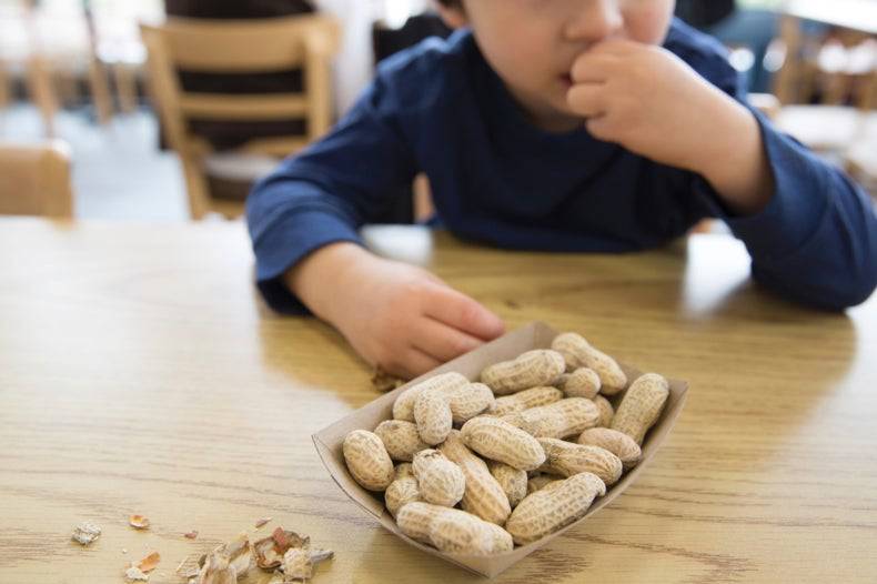 alergias-alimentarias-en-ninos-consejos-y-estrategias-para-una-vida-saludable imagen de artículo