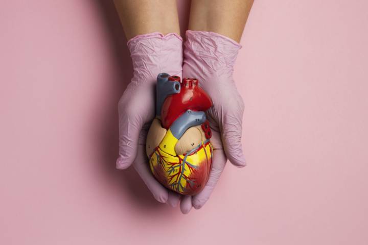 pevencion-de-enfermedades-cardiovasculares-la-importancia-de-la-educacion-para-una-vida-larga imagen de artículo