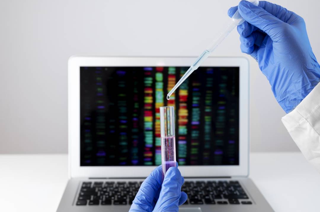 analisis-moduladores-epigeneticos-que-son-como-pueden-mejorar-bienestar imagen de artículo