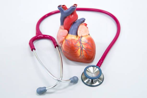 corazon-sano-vida-plena-claves-para-prevenir-enfermedades-cardiovasculares imagen de artículo