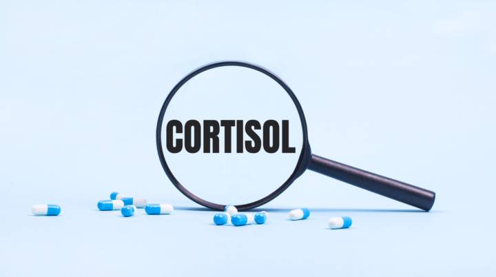 cortisol-hormonal-estres-afecta-salud imagen de artículo