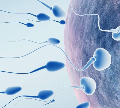 infertilidad masculina