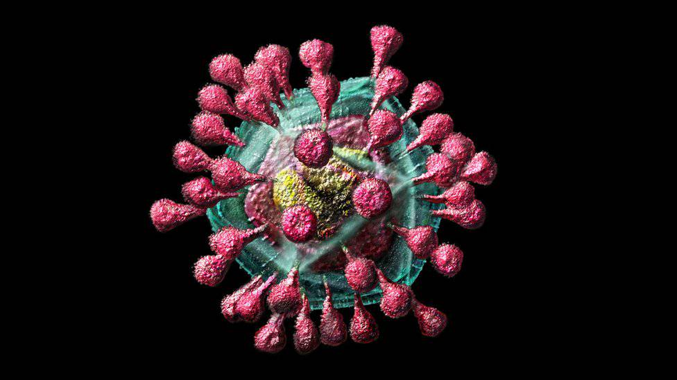 entre-cifras-sintomas-portadores-que-sabemos-del-coronavirus imagen de artículo