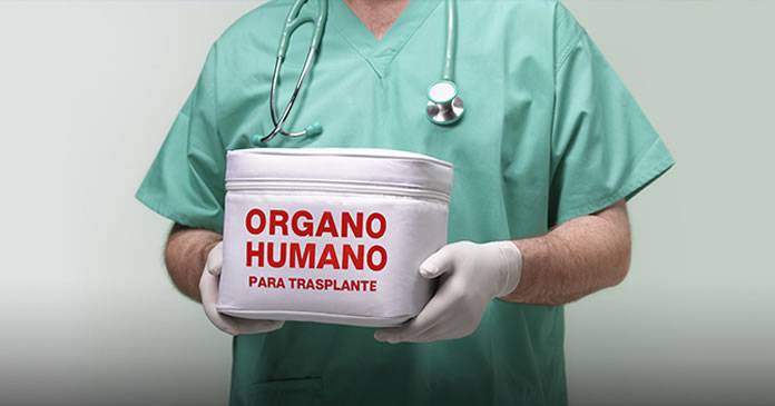 importancia-de-un-trasplante-de-organos imagen de artículo