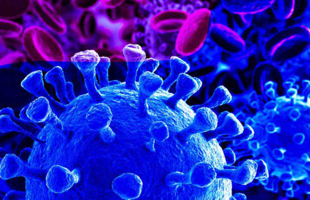 Coronavirus: Conozca otros casos de epidemias por virus zoonóticos