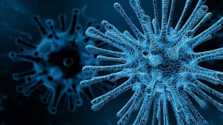 coronavirus-la-carga-viral-influye imagen de artículo