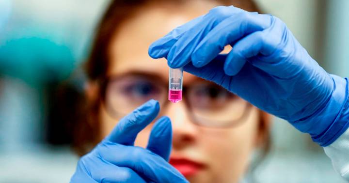 vacuna-coronavirus imagen de artículo