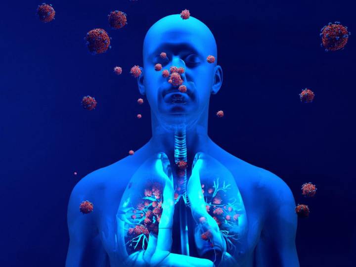 inmunidad-cruzada-y-sus-beneficios-durante-el-covid-19 imagen de artículo