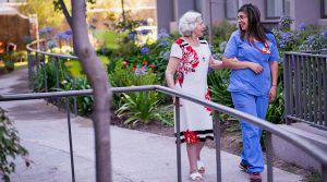 permiso-para-mayores-de-75 imagen de artículo