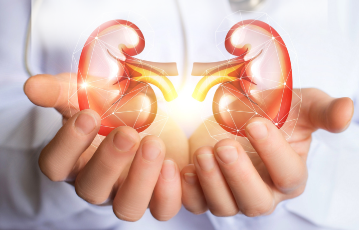 tips-para-mejorar-la-salud-renal-en-epoca-de-covid-19 imagen de artículo