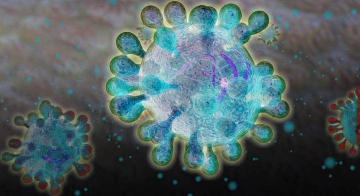 26-comunas-avanzan-de-fase-del-plan-paso-a-paso imagen de artículo