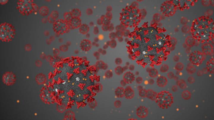 nueva-cepa-de-covid-19-detectada-en-magallanes imagen de artículo