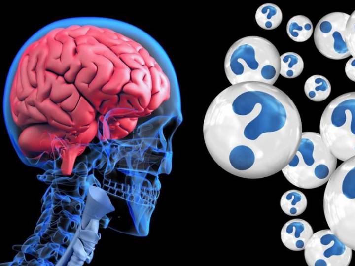 proteina-capaz-de-reducir-posibilidad-de-padecer-demencia imagen de artículo