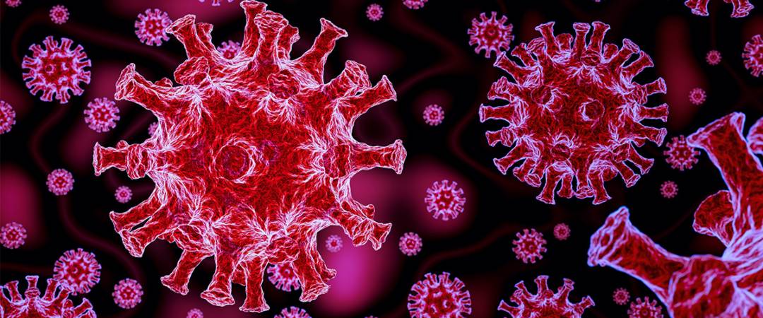 ¿Por qué el Coronavirus es mortal?