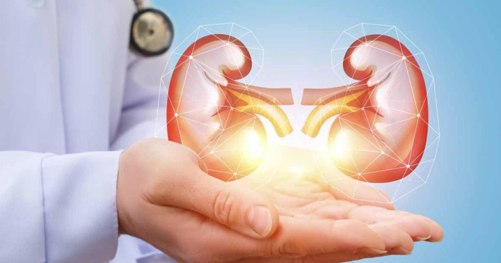 como-conseguir-una-buena-salud-renal imagen de artículo