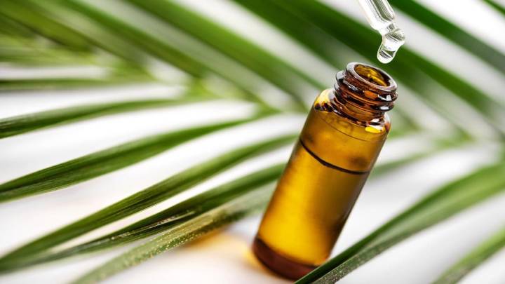 como-recuperar-el-olfato-despues-del-covid-19 imagen de artículo