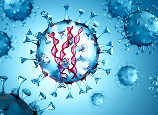 hallan-punto-debil-del-coronavirus-en-zurich-suiza imagen de artículo