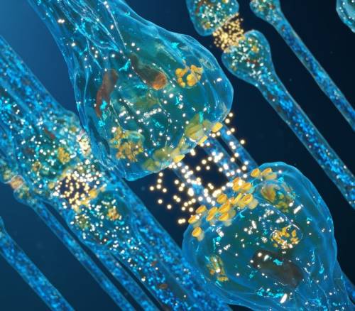 covid-19-provoca-un-tsunami-cerebral-advierten-en-chile imagen de artículo