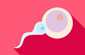 junio-mes-internacional-de-la-fertilidad imagen de artículo