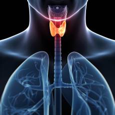 Thyroid Cancer: What symptoms should we prevent ourselves from?