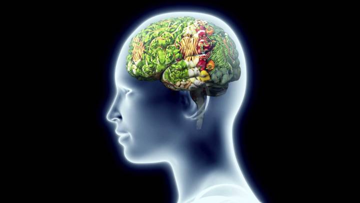 descubre-el-circuito-que-regula-la-saciedad-en-el-cerebro imagen de artículo