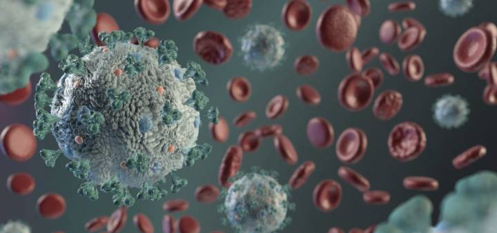 an-atomic-model-could-help-discover-drugs-against-covid-19 imagen de artículo