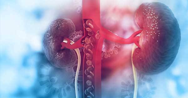 covid-19-puede-infectar-a-los-rinones-cuales-son-sus-efectos imagen de artículo