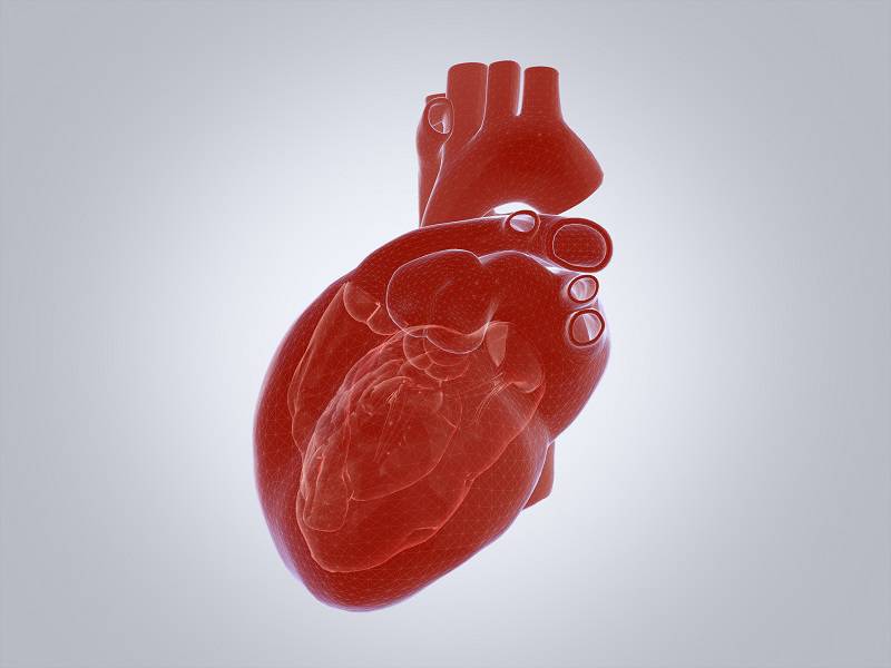 Defectos Cardiacos Congénitos: tratamiento con Cateterismo