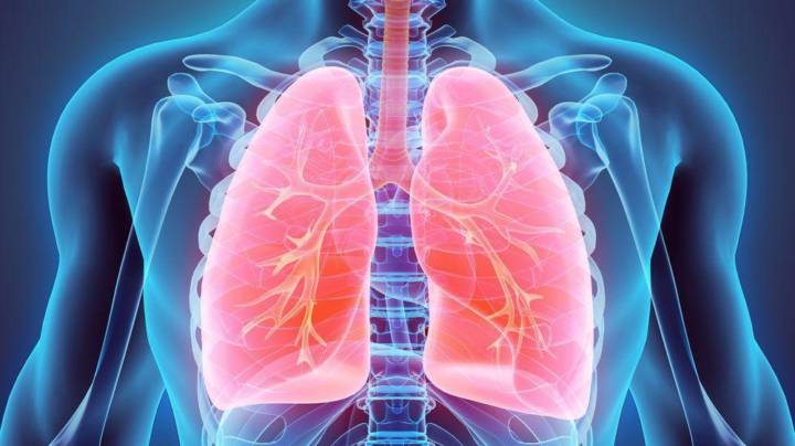 cancer-de-mediastino-como-abordar-este-padecimiento imagen de artículo