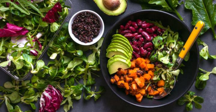 vegetarianismo-es-bueno-o-malo imagen de artículo