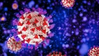 coronavirus-como-virus-endemico imagen de artículo