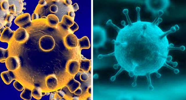 padecer-gripe-y-coronavirus imagen de artículo