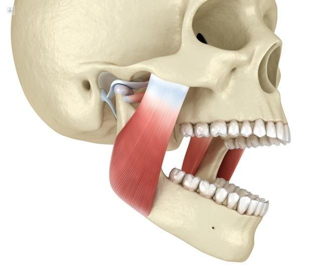 Articulación Temporomandibular