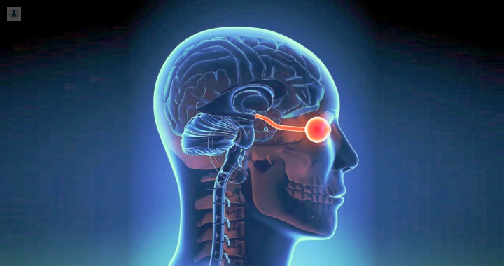 neurofisiología-y-enfermedades-de-los-ojos