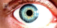 cornea guttata