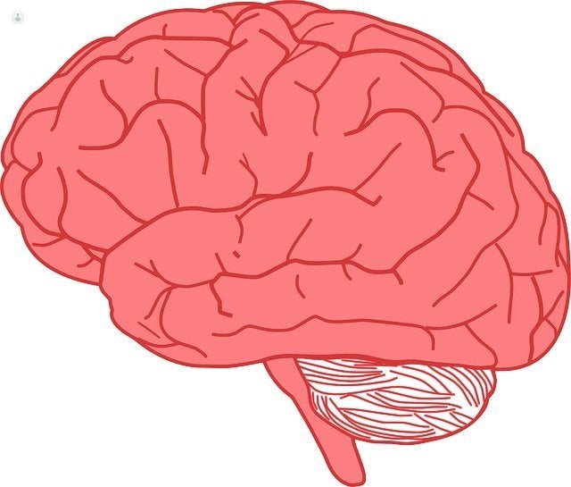Neurocirugía aplicada al abordaje de tumores cerebrales. 