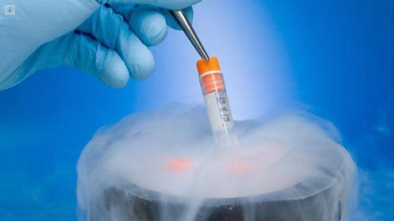 congelación-de-embriones
